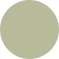 Reed green – Matte / Glossy